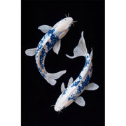 Zwei Fische II