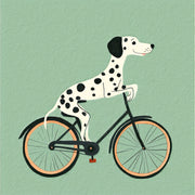 Hund auf dem Fahrrad