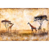 Giraffensavanne