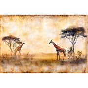 Giraffensavanne