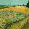 Getreidefeld - Van Gogh