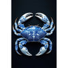 Krab in delfts stijl