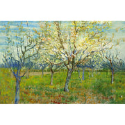 Obstgarten mit blühenden Aprikosenbäumen – Van Gogh