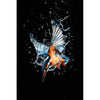 Schilderij Kingfisher