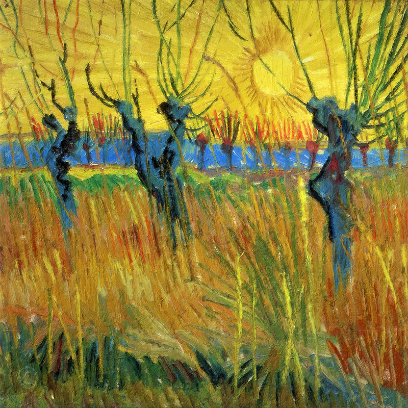 5323 Pollard Willows With Setting Sun copy.jpg