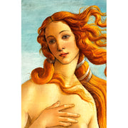 Die Geburt der Venus - Sandro Botticelli II