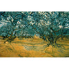 Olive Trees - Van Gogh