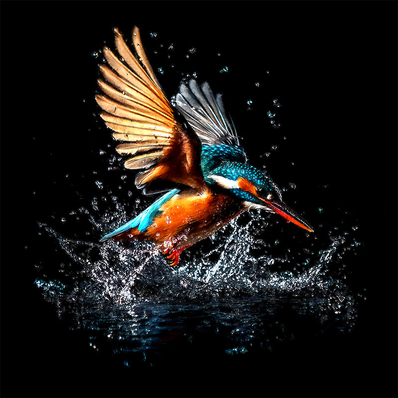 Das Eisvogel-Gemälde II