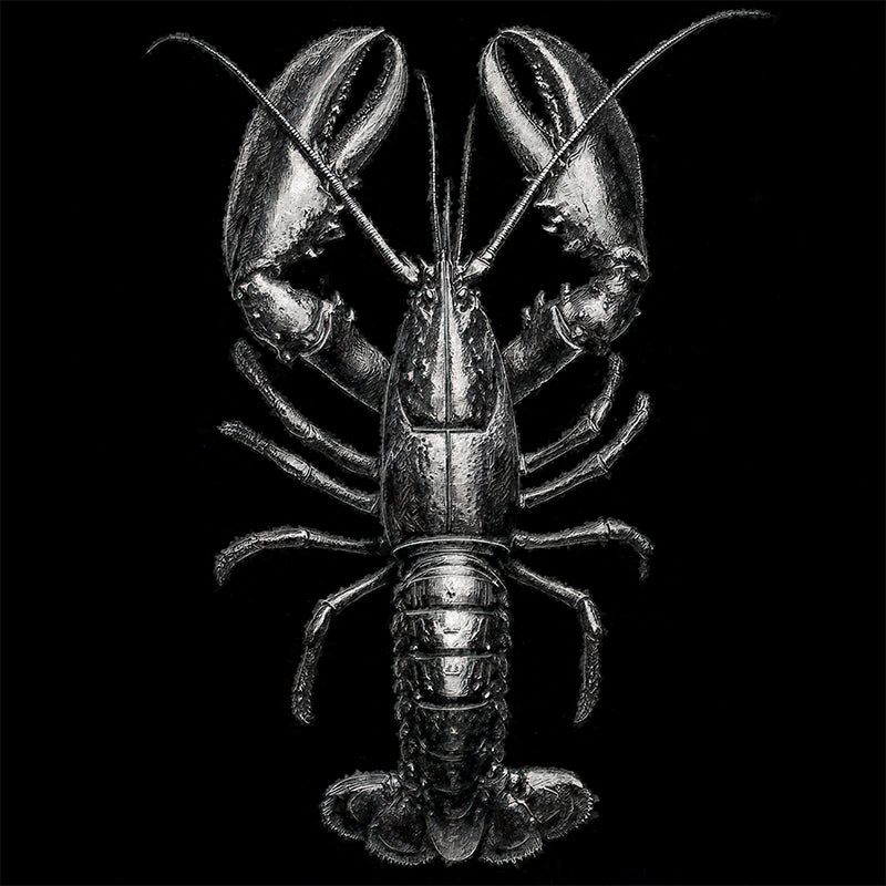 Gemälde Hummer