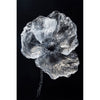 Schwarz-Weiß-Mohnblume