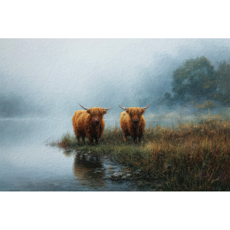 Schottische Hochlandrinder Natur
