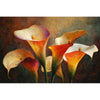Warme Calla-Lilien