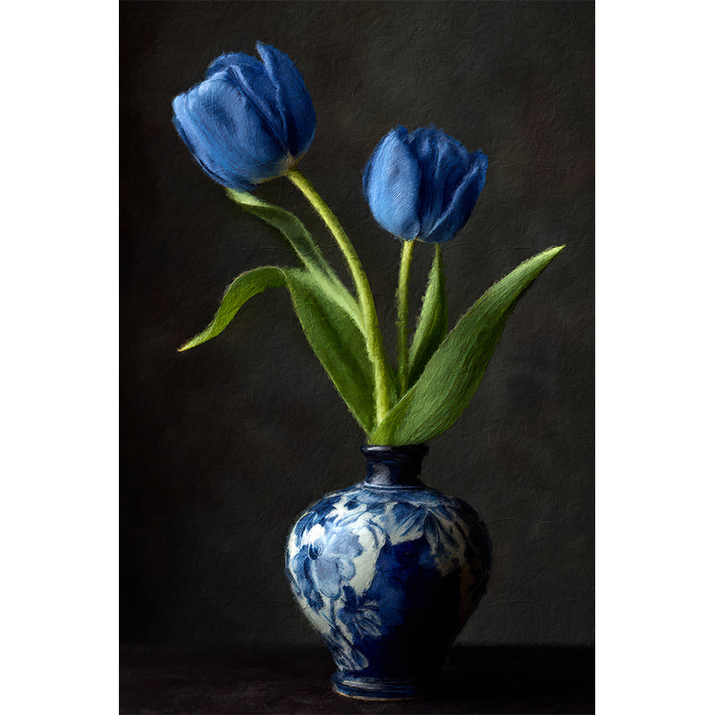 Twee Blauwe Tulpen