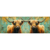 Schotse Hooglanders Koppel
