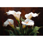 Vier Warme Calla’s