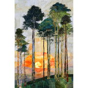 Hoge Bomen Bos