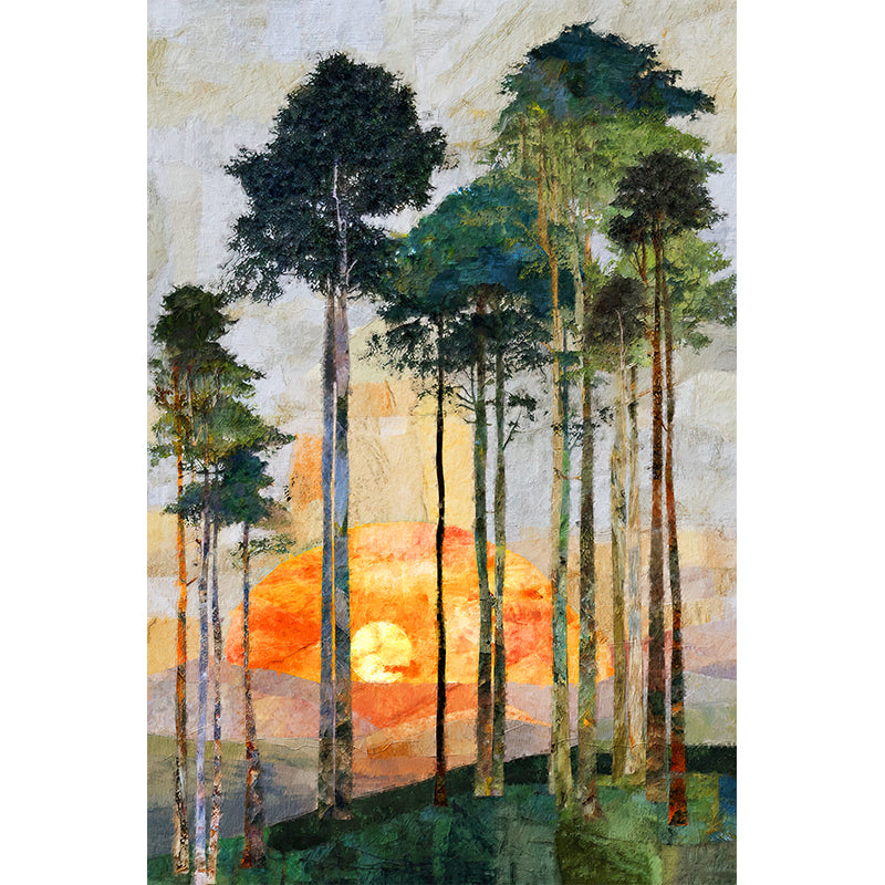 Hoge Bomen Bos