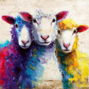 Bunte Schafe