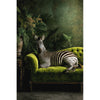 Elegantes Zebra