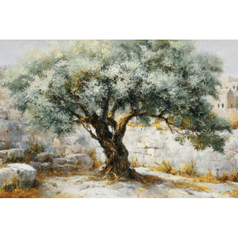 Majestueuze Olijfboom