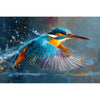 Farbenfroher Eisvogel