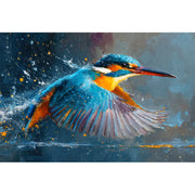 Farbenfroher Eisvogel