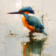 Eisvogel auf Wasser