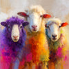 Bunte Schafe II