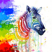 Happy Zebra