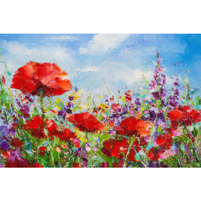 Schlafmohn