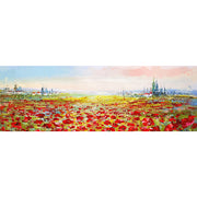 Feld mit Schlafmohn 2