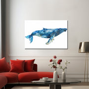 de blauwe Walvis