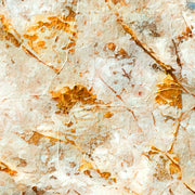 Abstracte bomen