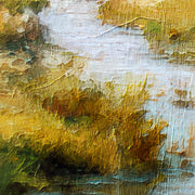 Polderlandschap