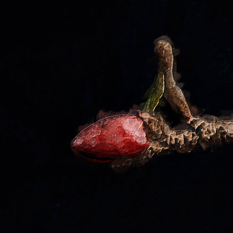 Magnolia In Vaas II