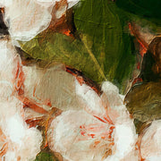 Apfelblüten in einer Vase