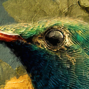 Das Vogelhut-Kunstwerk