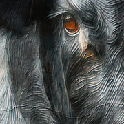 Der Dunkle Stier Kunst