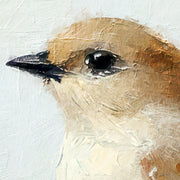 Vogelkäfig-Gemälde