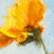 Bunte Wiesenblumen
