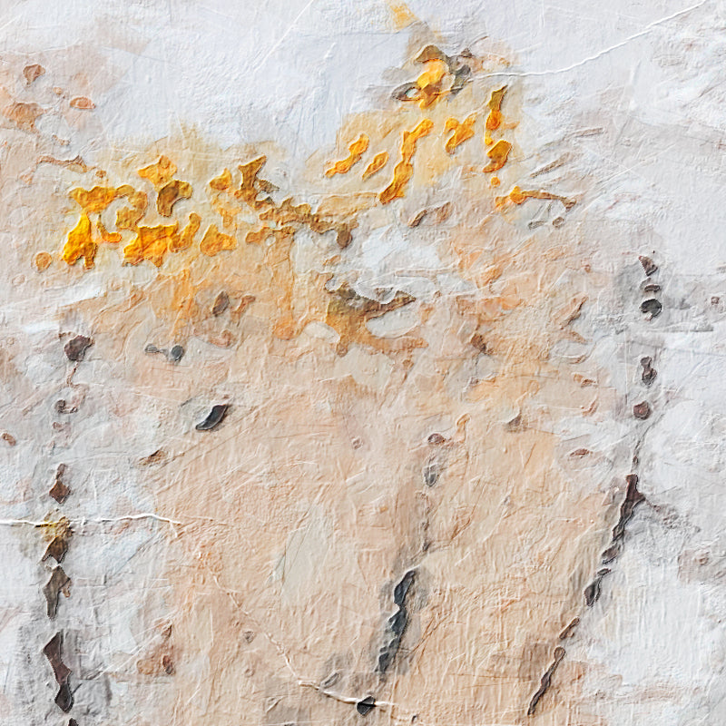 Abstract Expressionisme