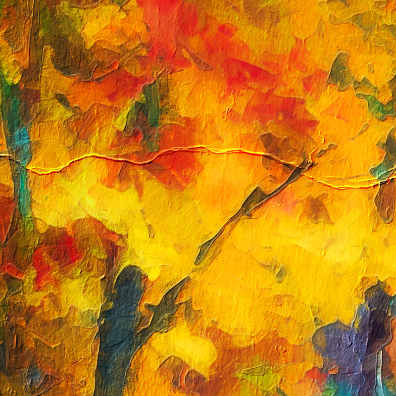 Herbstimpressionen