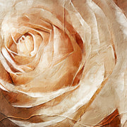 Vrouw met rozen