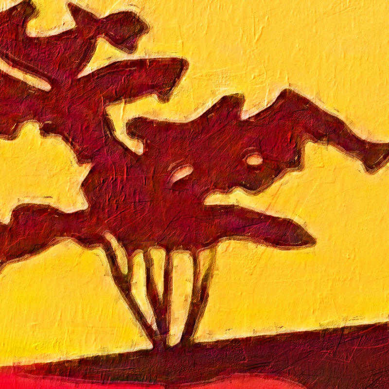 Afrika in kleur