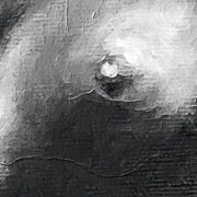 Venus Q