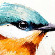 Twee vogels