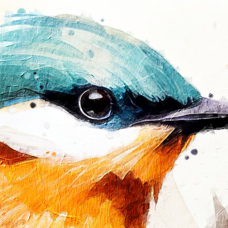 Twee vogels