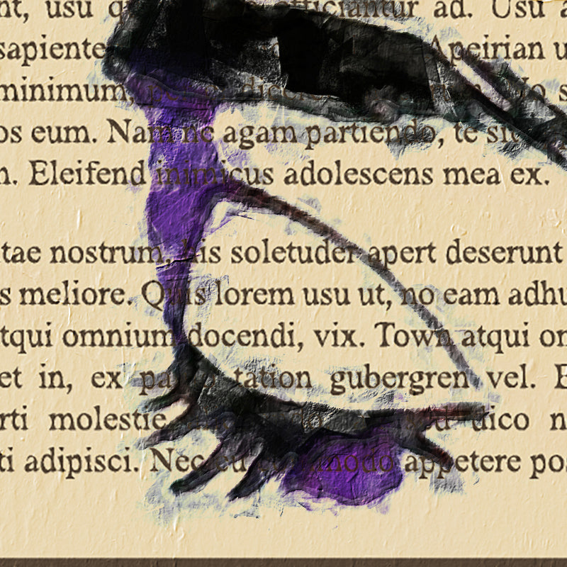 fragme-957.jpg