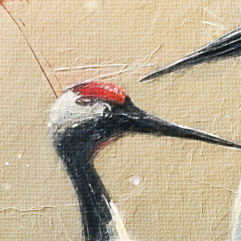 Kraanvogel koppel