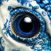 Pauw in delfts blauw